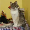 Отзыв от Римма Розанова